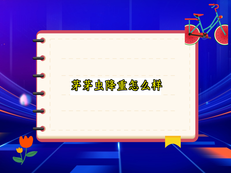 茅茅虫降重怎么样
