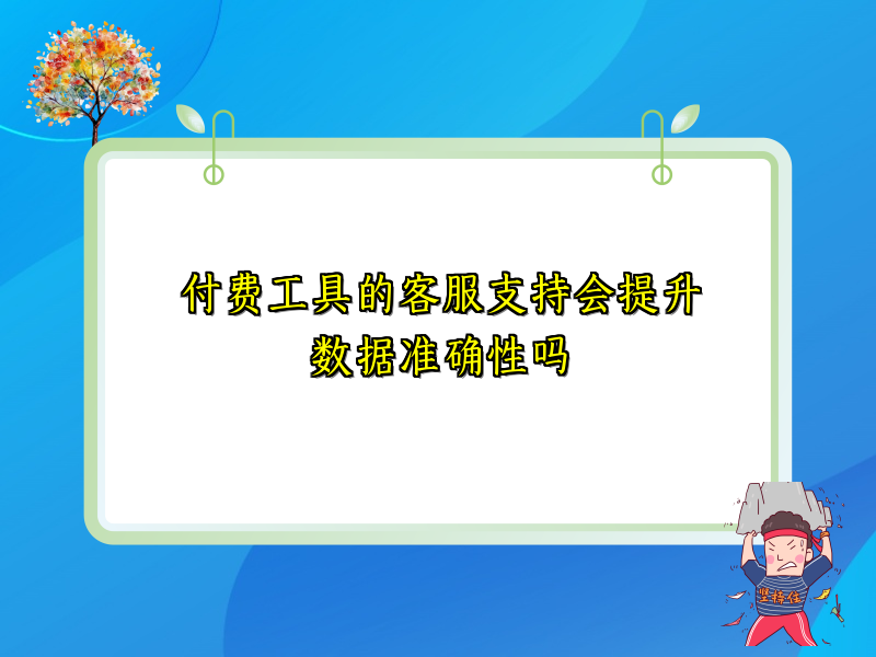 付费工具的客服支持会提升数据准确性吗