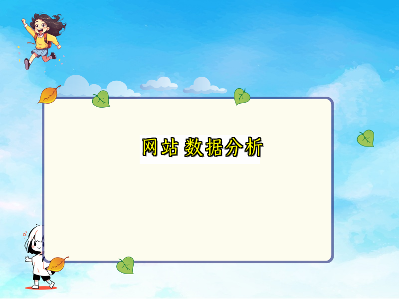 网站 数据分析
