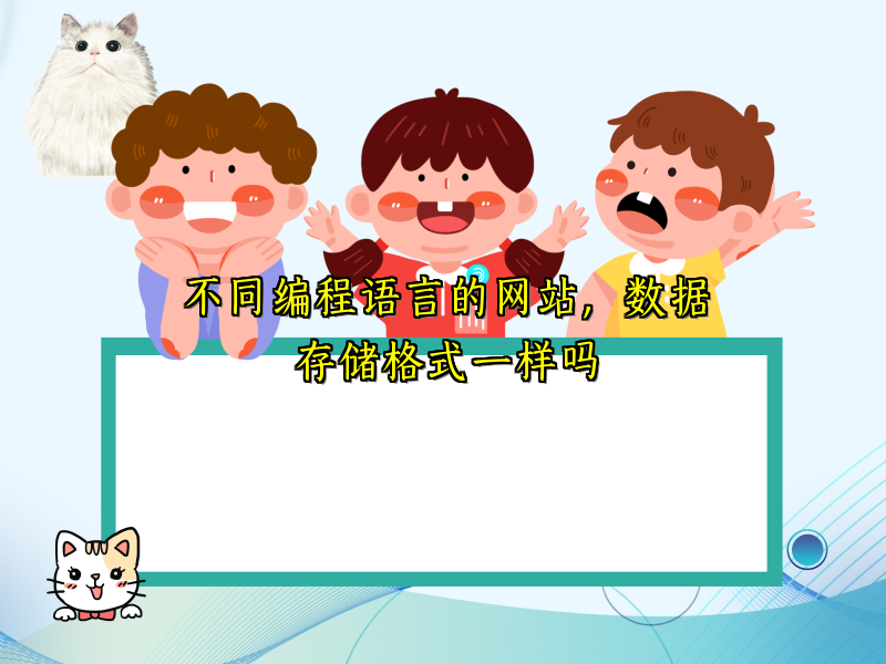 不同编程语言的网站，数据存储格式一样吗