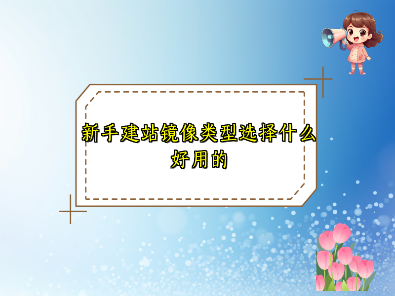 新手建站镜像类型选择什么好用的