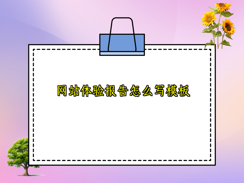 网站体验报告怎么写模板