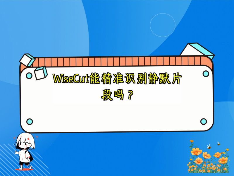 WiseCut能精准识别静默片段吗？