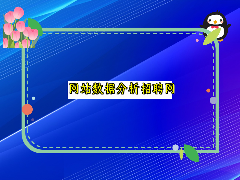 网站数据分析招聘网
