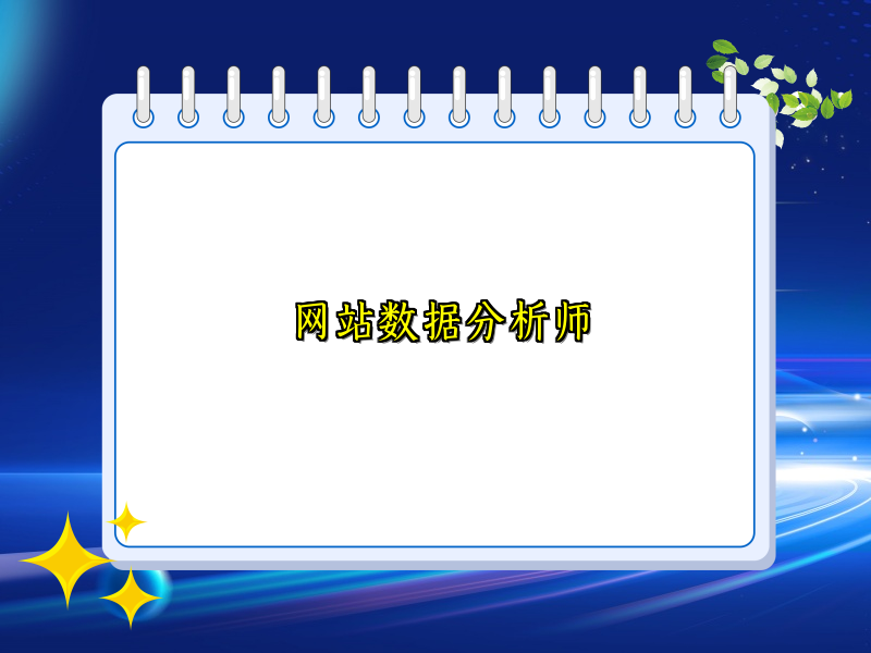 网站数据分析师