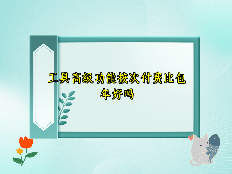 工具高级功能按次付费比包年好吗