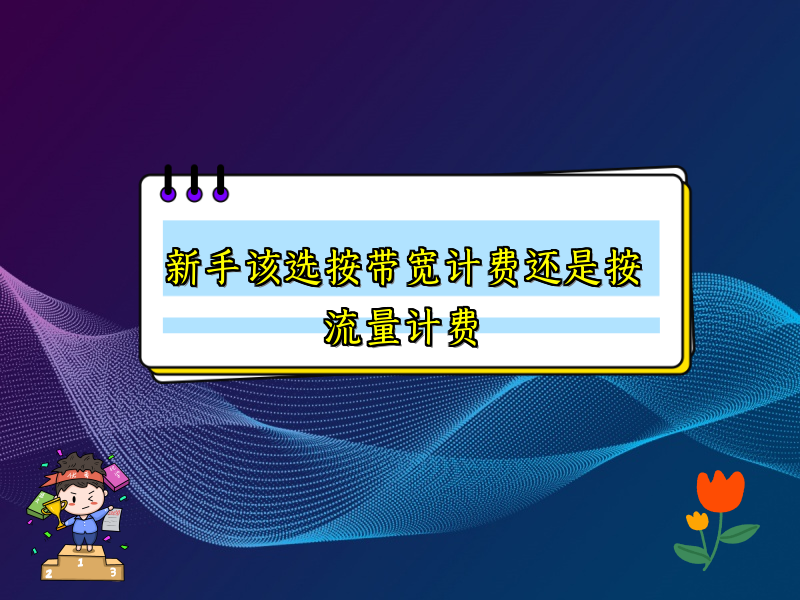 新手该选按带宽计费还是按流量计费