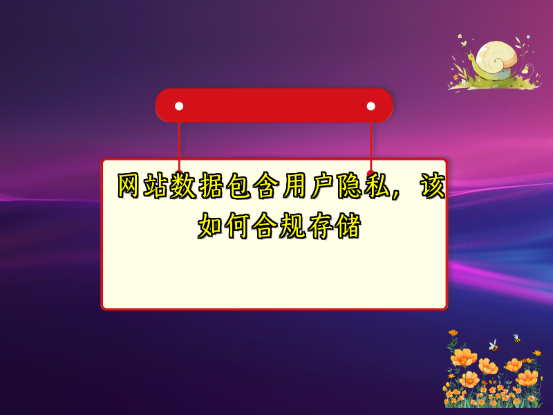 网站数据包含用户隐私，该如何合规存储