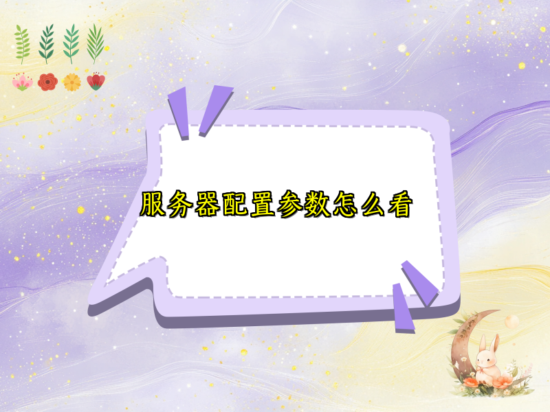 服务器配置参数怎么看