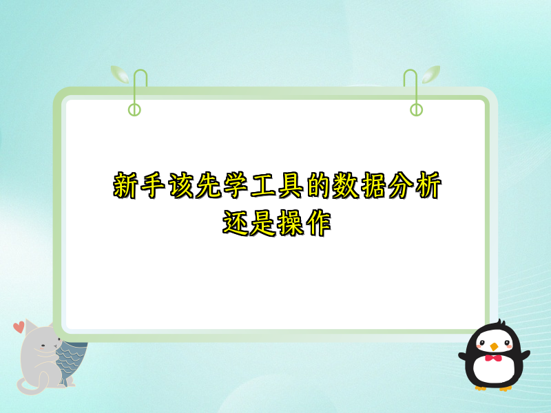 新手该先学工具的数据分析还是操作