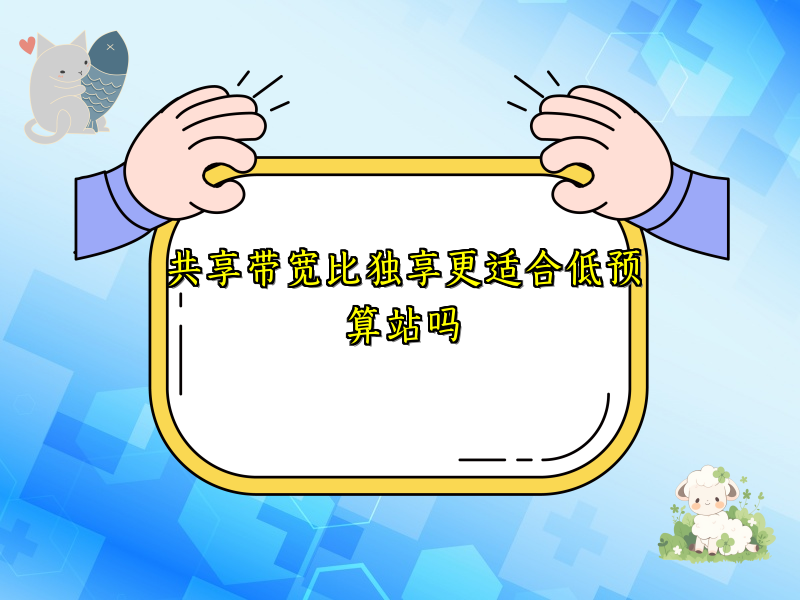 共享带宽比独享更适合低预算站吗