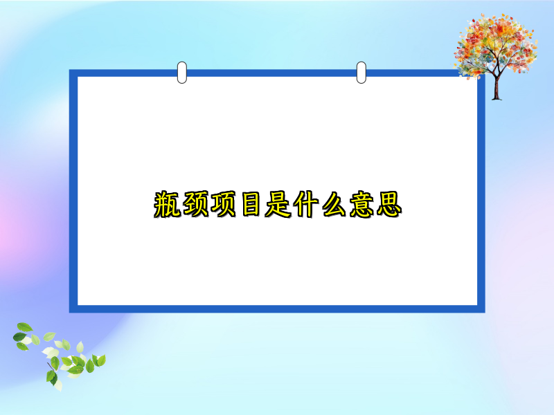 瓶颈项目是什么意思