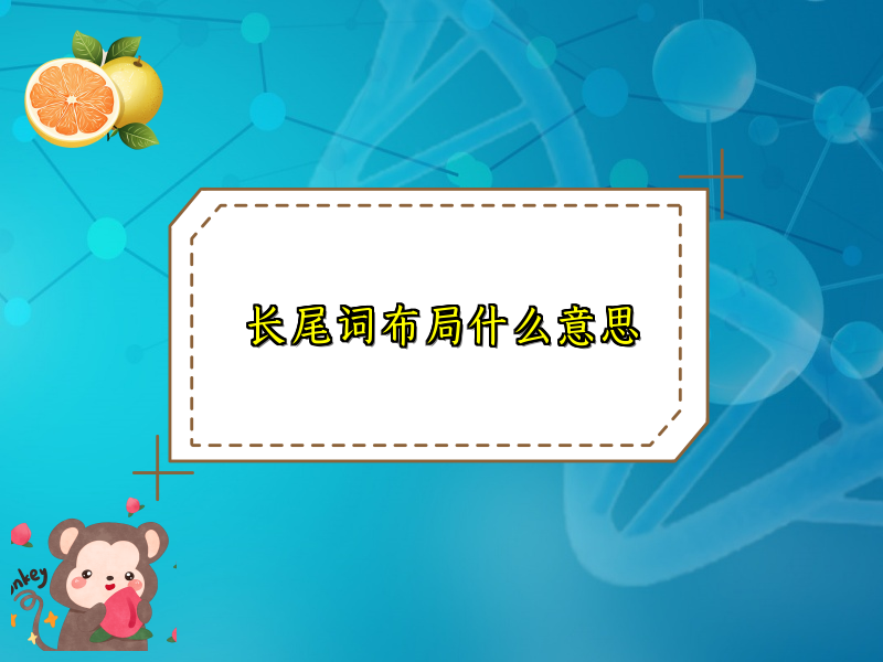 长尾词布局什么意思